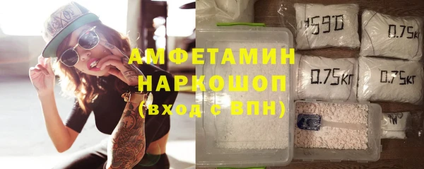 гашик Каменка