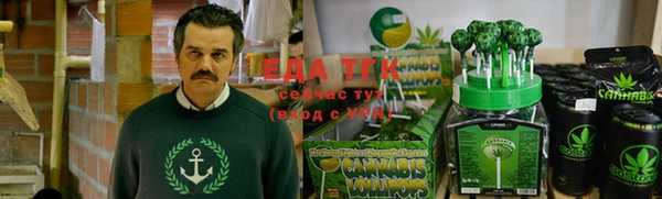 гашик Каменка