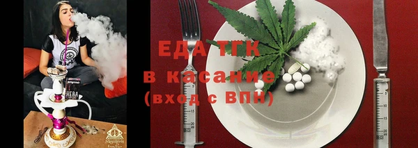 гашик Каменка
