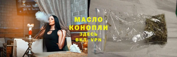 гашик Каменка