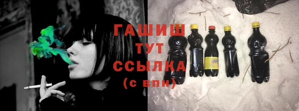 гашик Каменка