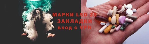 гашик Каменка