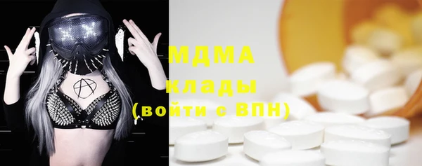 гашик Каменка