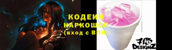гашик Каменка