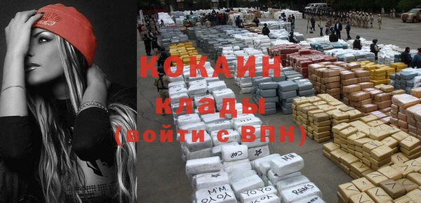 гашик Каменка