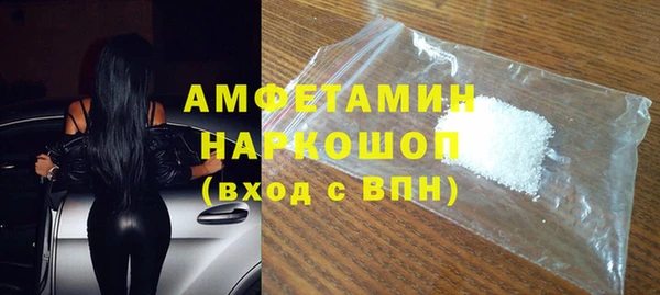 гашик Каменка